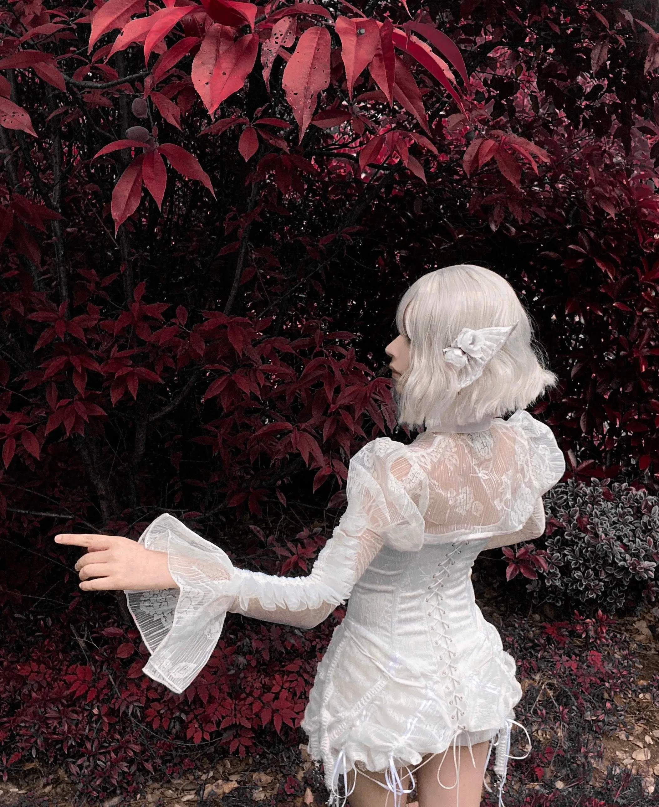 [Blood Supply]Sleeping Alice Boned Waist A-Line Dress