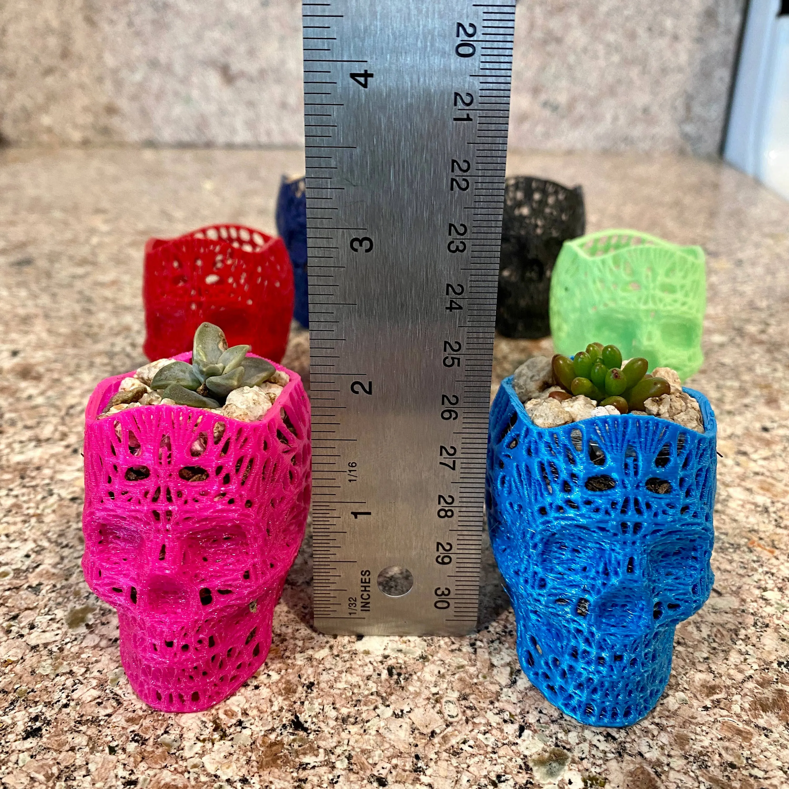 NumanPrints - 3D Printed Succulent Skull Planter Pot Small Indoor: Black / 5 Inch Skull