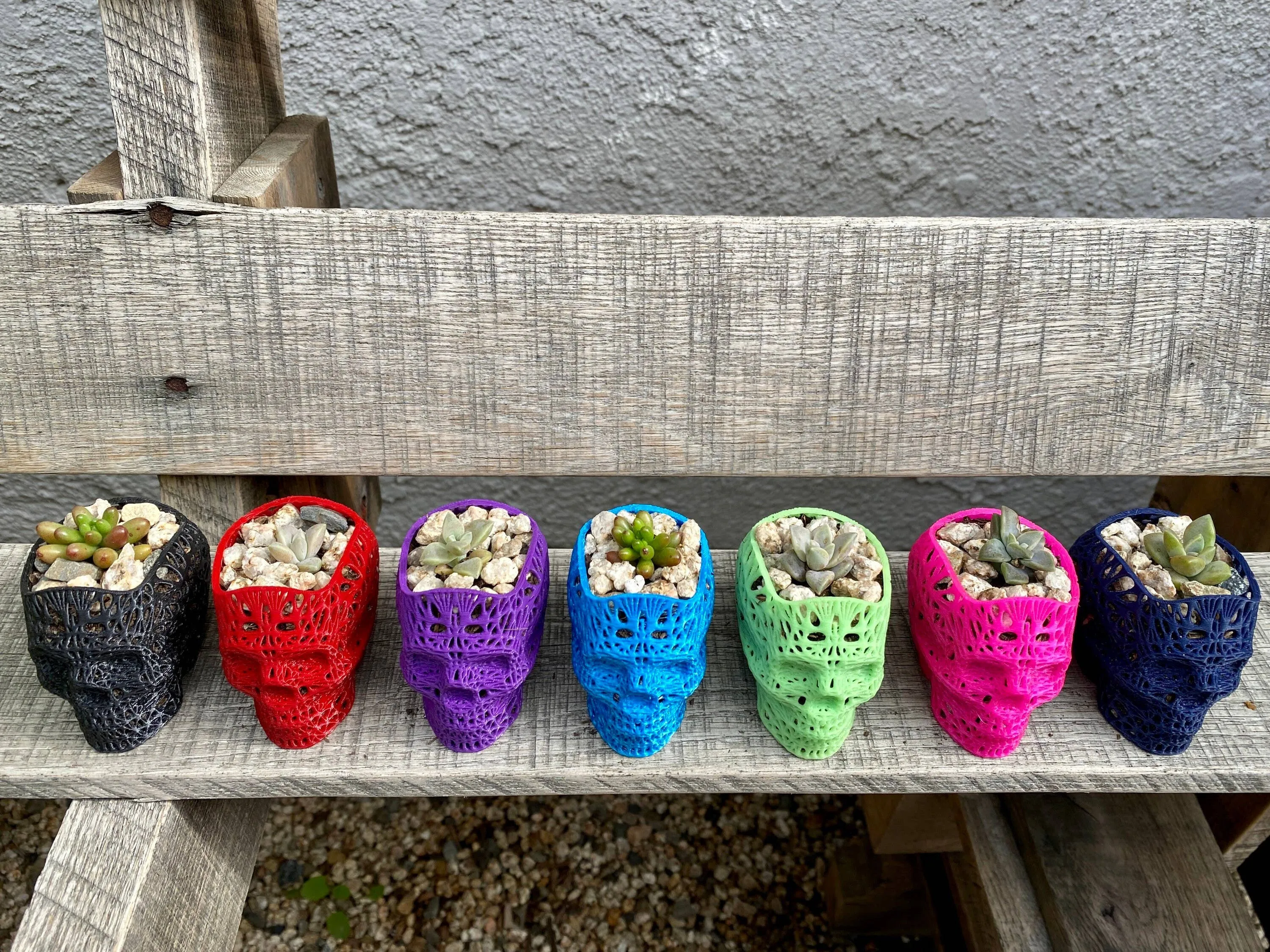 NumanPrints - 3D Printed Succulent Skull Planter Pot Small Indoor: Black / 5 Inch Skull