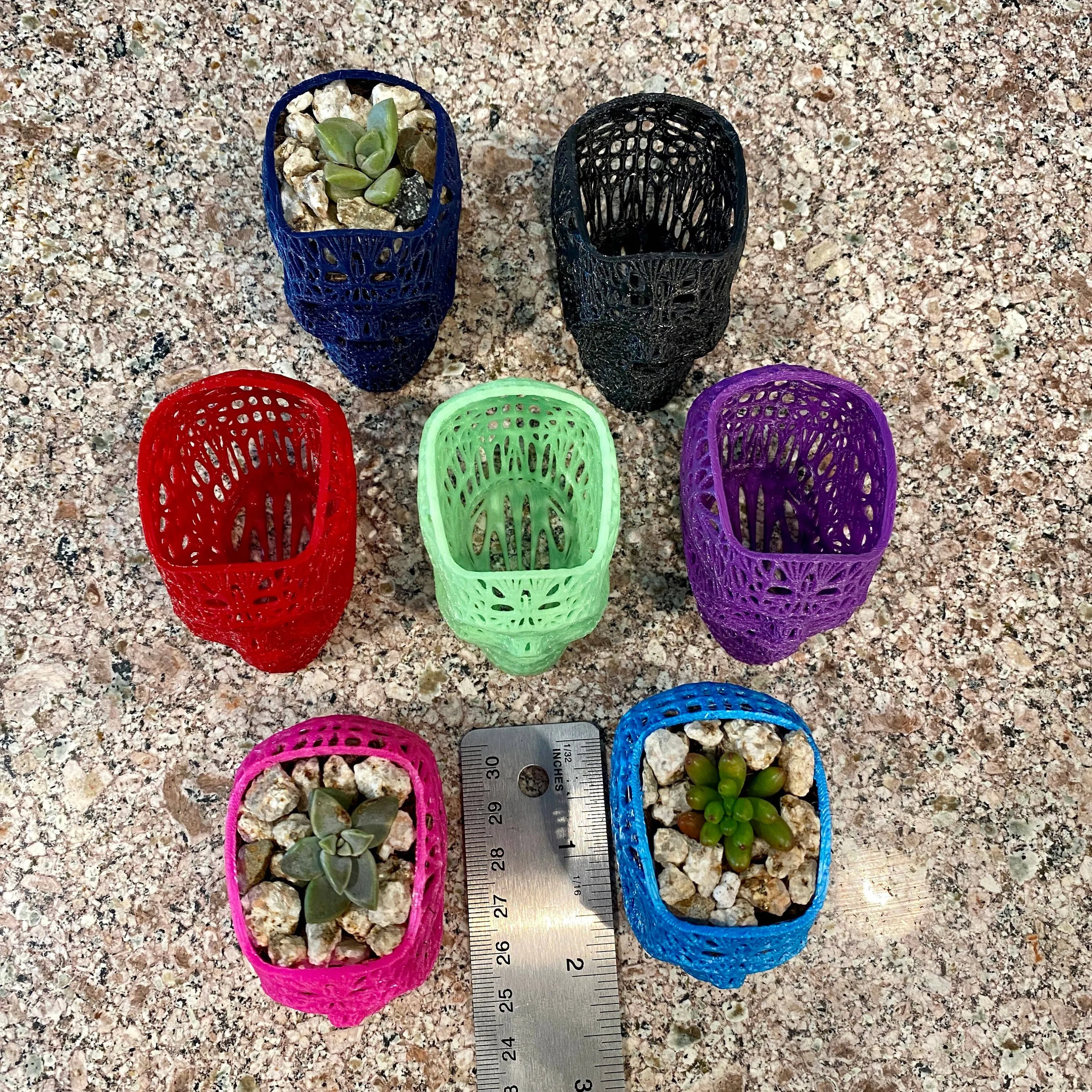 NumanPrints - 3D Printed Succulent Skull Planter Pot Small Indoor: Gold / 5 Inch Skull