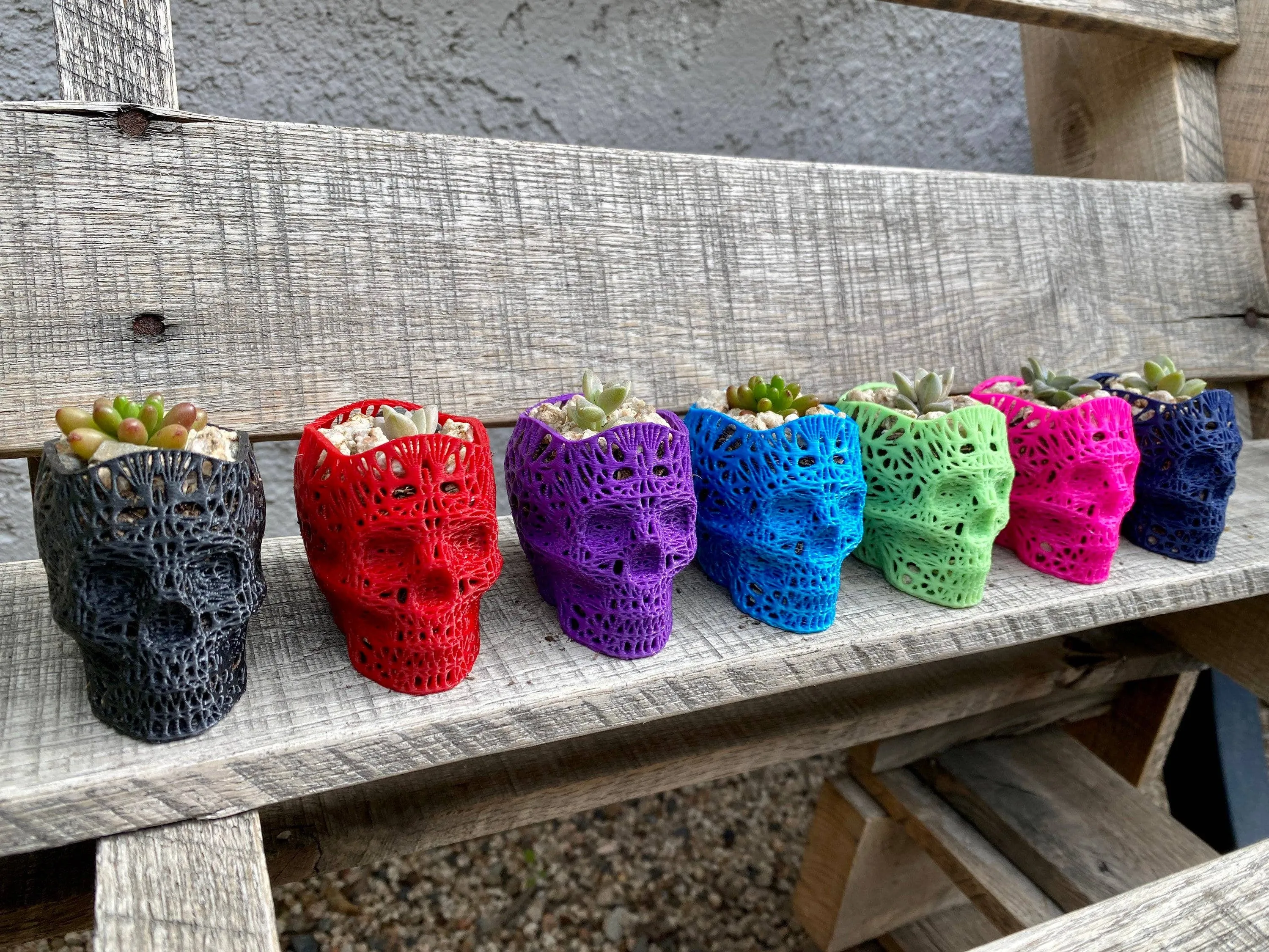NumanPrints - 3D Printed Succulent Skull Planter Pot Small Indoor: Gold / 5 Inch Skull