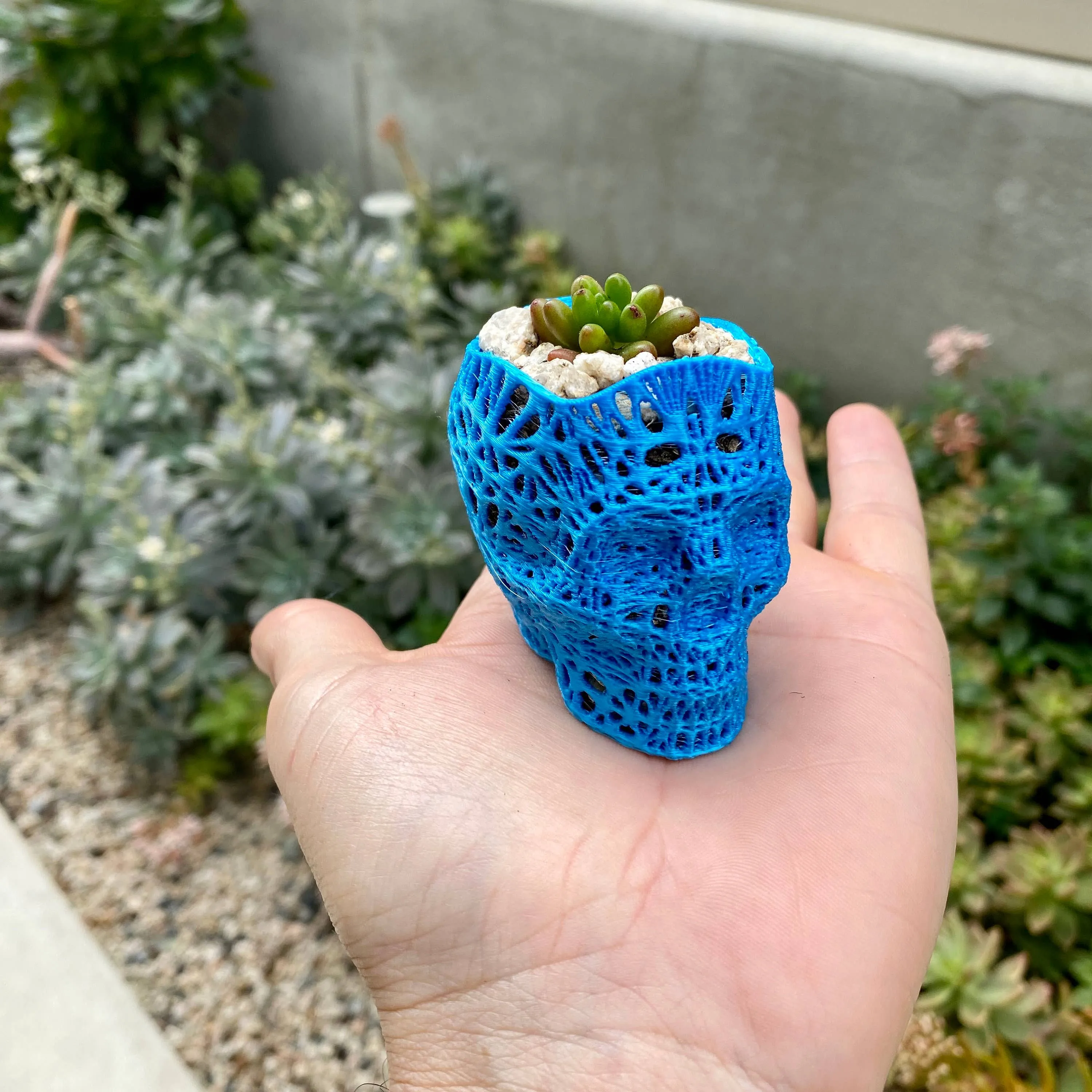 NumanPrints - 3D Printed Succulent Skull Planter Pot Small Indoor: Gold / 5 Inch Skull