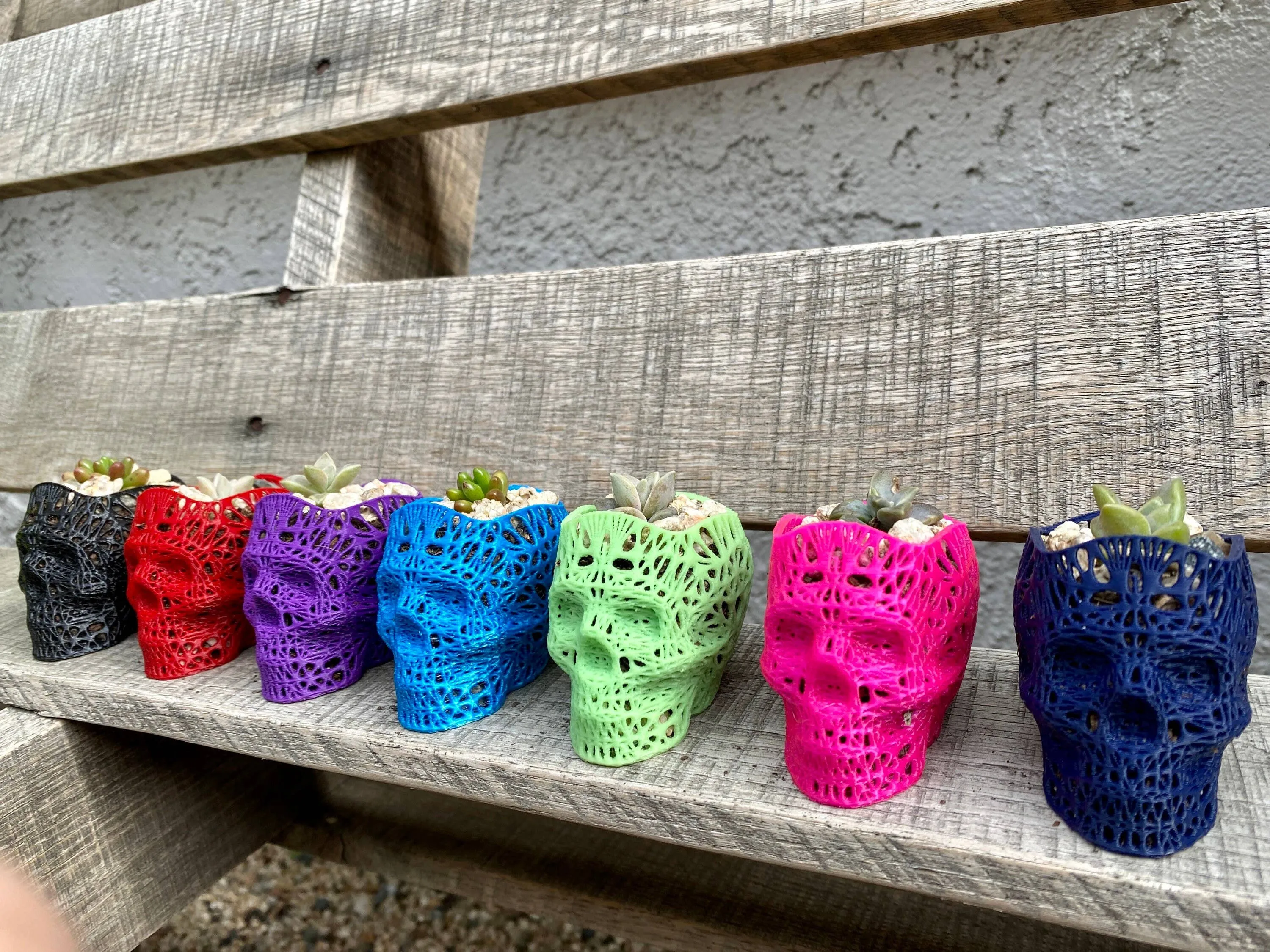 NumanPrints - 3D Printed Succulent Skull Planter Pot Small Indoor: Gold / 5 Inch Skull