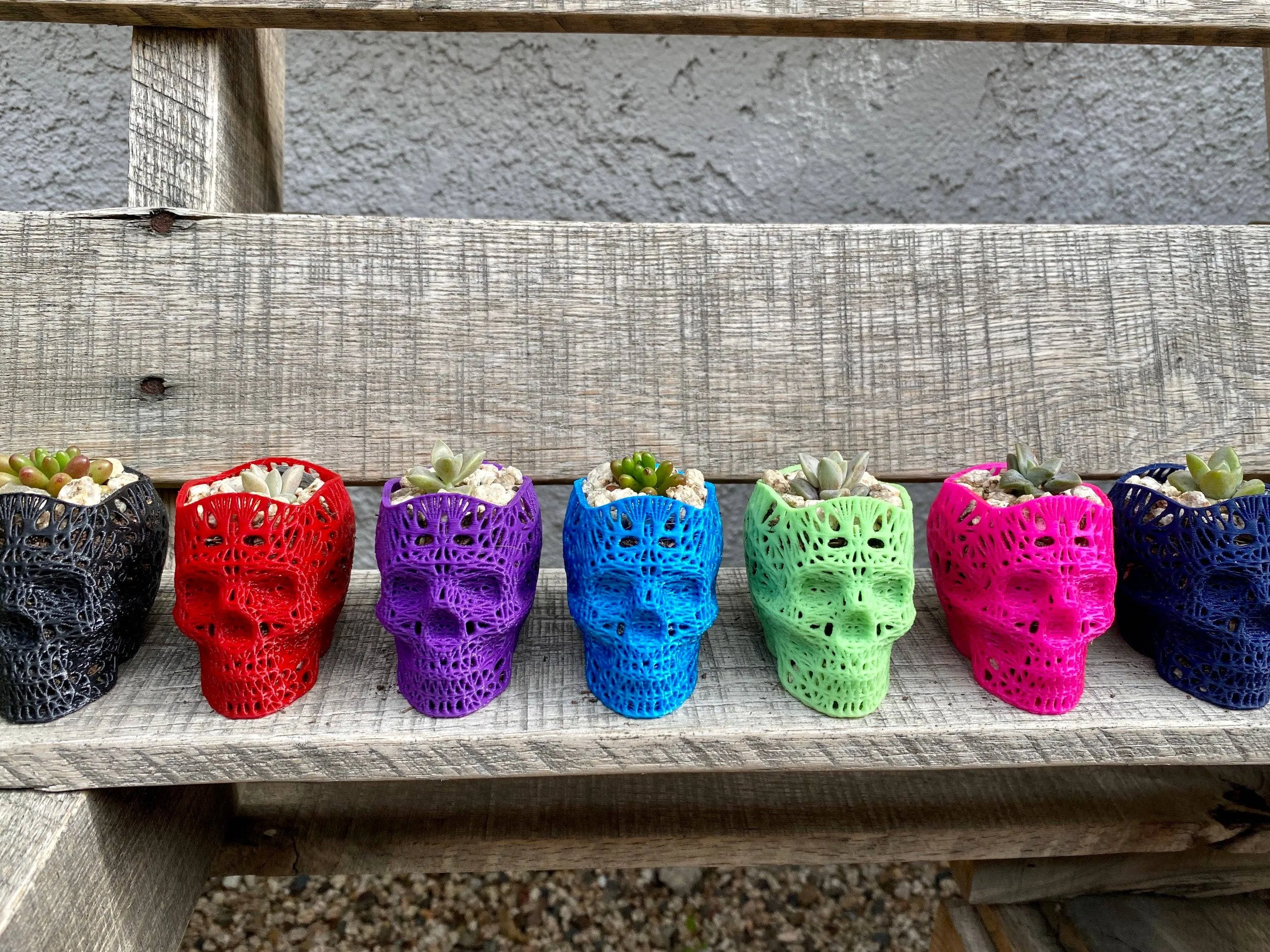 NumanPrints - 3D Printed Succulent Skull Planter Pot Small Indoor: Gold / 5 Inch Skull