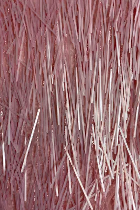Pink Sticks