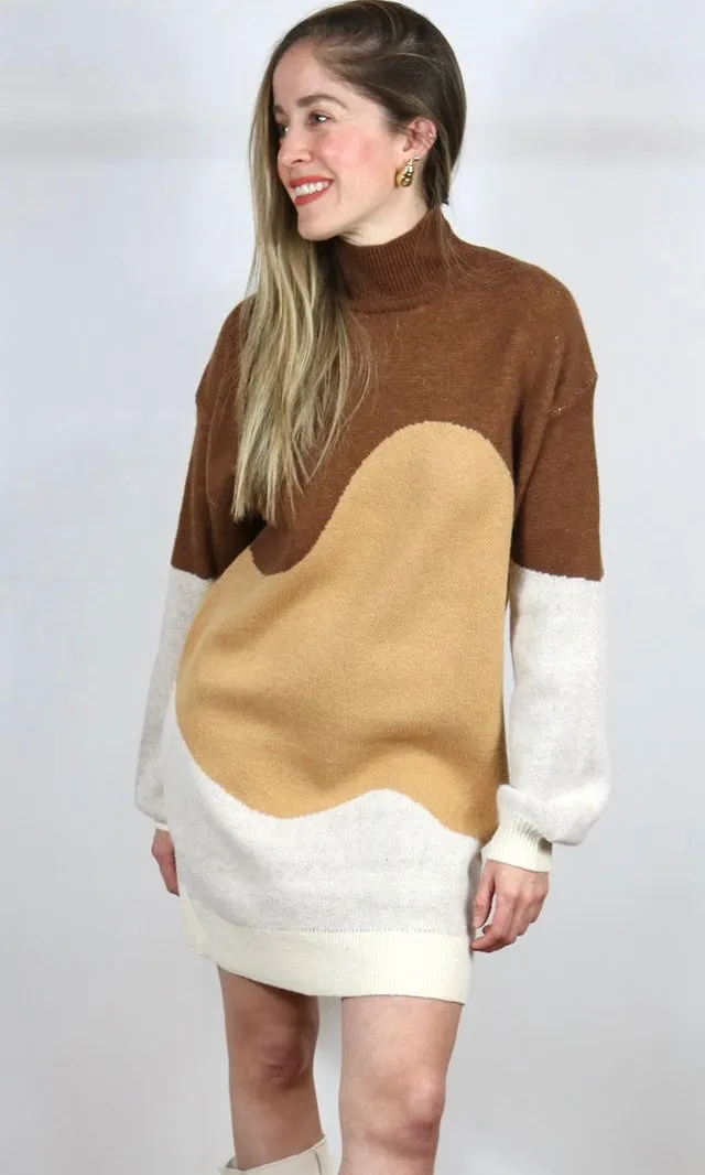 Turtle Neck Colorblock Rib Knit Dress