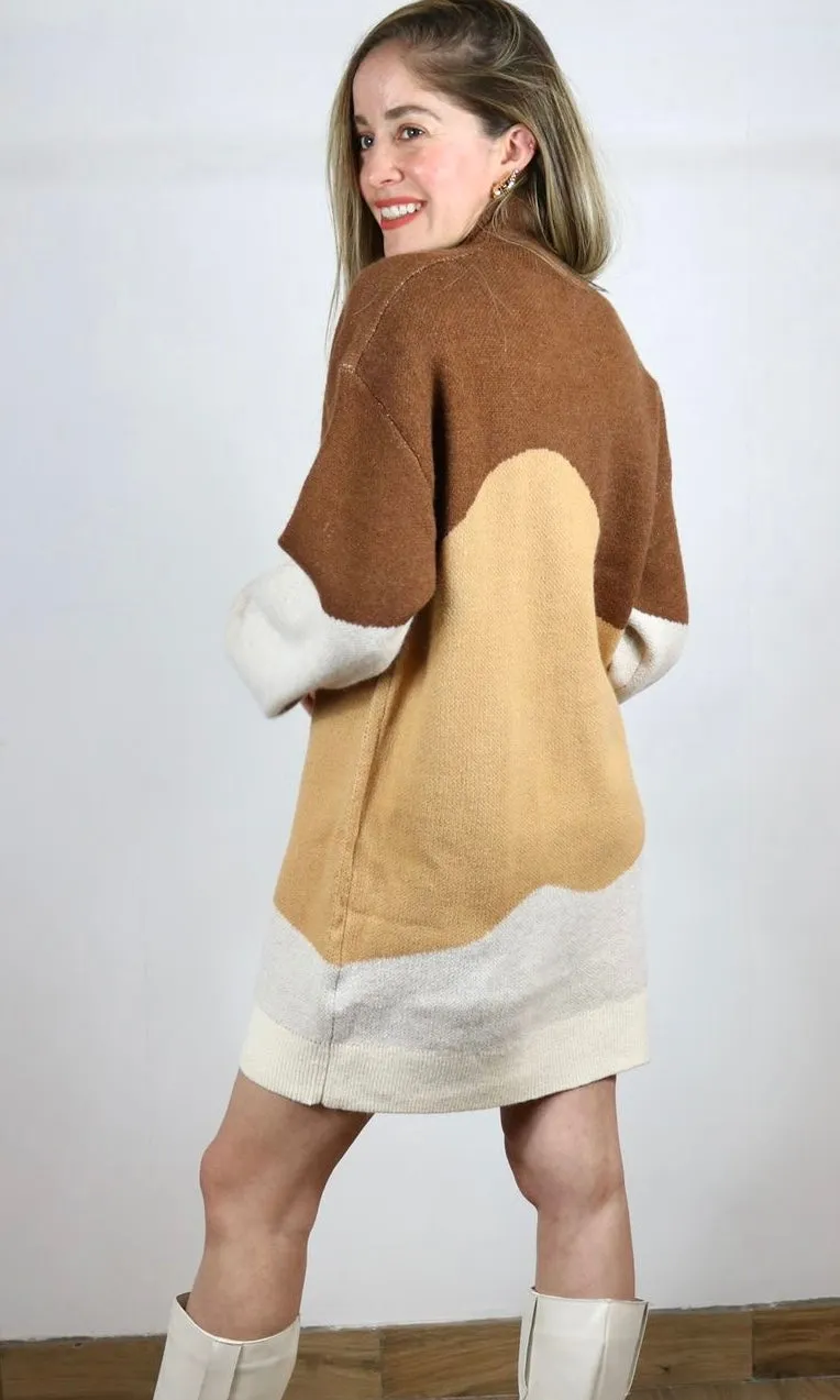 Turtle Neck Colorblock Rib Knit Dress
